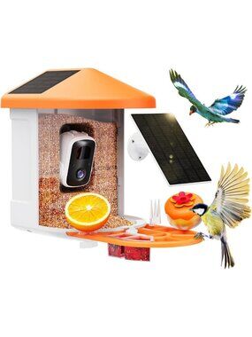 Smart Bird Feeder with HD Camera, Wildlife Monitoring, and Easy Setup